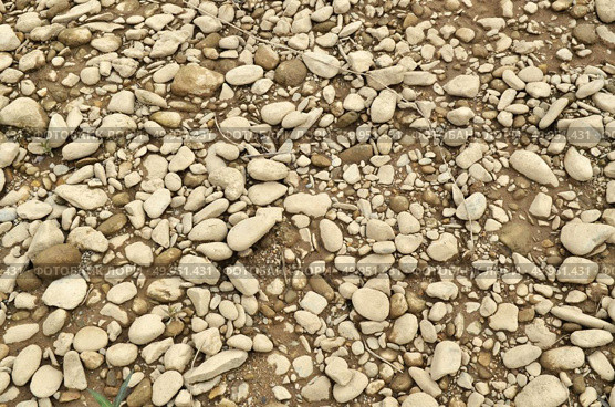 Limestone background. Стоковое фото, агентство Ingram Publishing / Фотобанк Лори