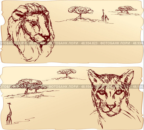 Lion and cheetah heads. Hand drawn ink portrait horizontal sketch. Стоковая иллюстрация, агентство Ingram Publishing / Фотобанк Лори