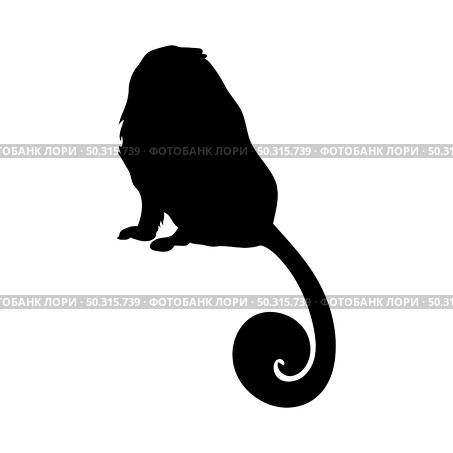 Lion Tamarin Ape Silhouette. Smooth and clean lines. High detailed Lion Tamarin monkey silhouette. Vector Illustration.. apes silhouettes set. Стоковая иллюстрация, агентство Ingram Publishing / Фотобанк Лори