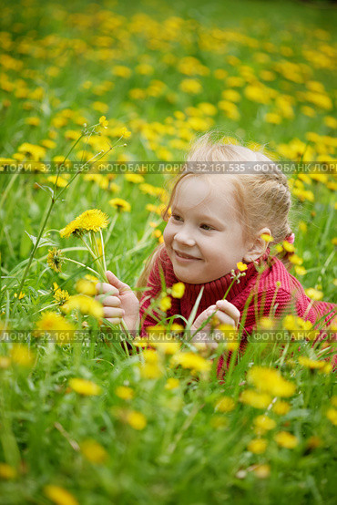 Little girl and meadow with dandelions. Summer day, outdoors. Стоковое фото, фотограф Елена Вишневская / Фотобанк Лори