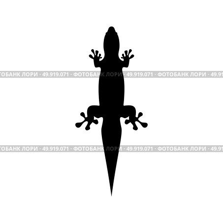 Lizard icon . Стоковая иллюстрация, агентство Ingram Publishing / Фотобанк Лори