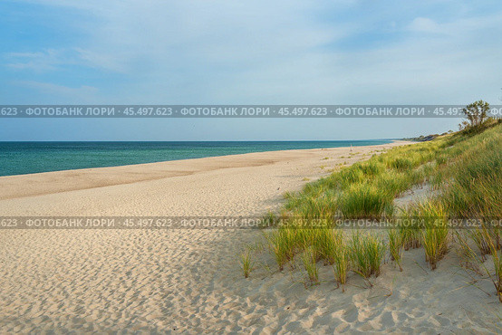 Long white sand beach in the Curonian Spit National Park. Kaliningrad region. Russia (2021 год). Стоковое фото, фотограф Elena Odareeva / Фотобанк Лори
