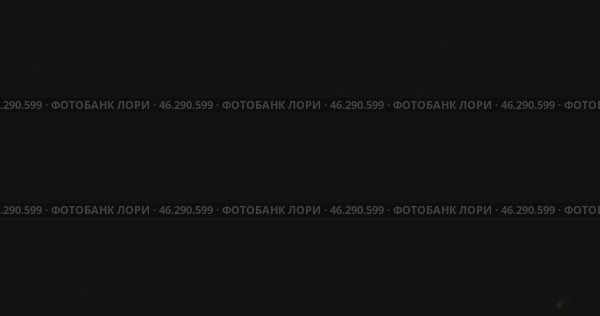 Луч света освещает золотистое боке в форме звезд. Рождественский фон. Крупный план. Стоковое видео, видеограф Александр Собко / Фотобанк Лори