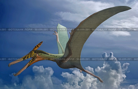 Ludodactylus sibbicki, a pterosaur from the Lower Cretaceous Period. Стоковое фото, фотограф Sergey Krasovskiy/Stocktrek Images / ТАСС / Фотобанк Лори