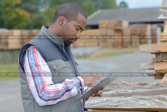 lumberyard clerk inspecting the products. Стоковое фото, агентство Ingram Publishing / Фотобанк Лори