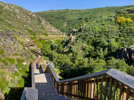 Lush green hills cradle a scenic wooden walkway under a clear blue sky. Guarda - Portugal. Стоковое фото, агентство Ingram Publishing / Фотобанк Лори