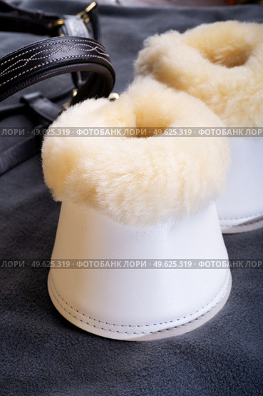 luxery hoof protectors with natural fur for sportive horses in complete with cover and halter. horse stuff and care. Стоковое фото, агентство Ingram Publishing / Фотобанк Лори