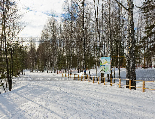 Лыжня в парке GoodWill (2016 год). Редакционное фото, фотограф Макаров Алексей / Фотобанк Лори