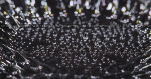 Magnetic fluid. Ferrofluid. Black liquid surface. Abstract background. Стоковое видео, видеограф Константин Мерцалов / Фотобанк Лори