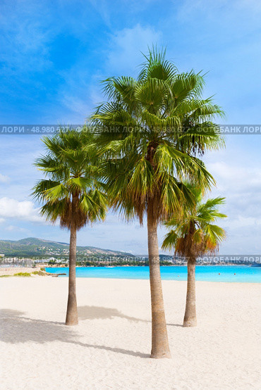 Majorca Platja Palmanova beach Son Maties Mallorca Calvia balearic islands of Spain. Стоковое фото, агентство Ingram Publishing / Фотобанк Лори