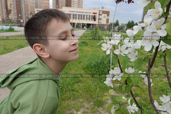 Мальчик нюхает цветок. The boy is smelling a flower. Стоковое фото, фотограф Юрий Пуликов / Фотобанк Лори