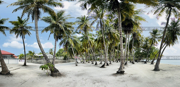 Maldives paradise scenery. Tropical aerial landscape, seascape with long jetty, water villas with amazing sea and lagoon beach, tropical nature. Exotic tourism destination banner, summer vacation. Стоковое фото, агентство Ingram Publishing / Фотобанк Лори