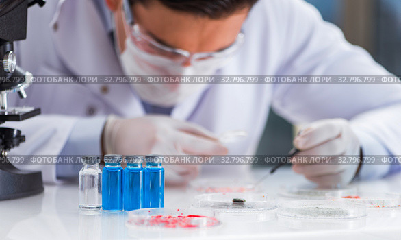 Male doctor working in the lab on virus vaccine. Стоковое фото, фотограф Elnur / Фотобанк Лори