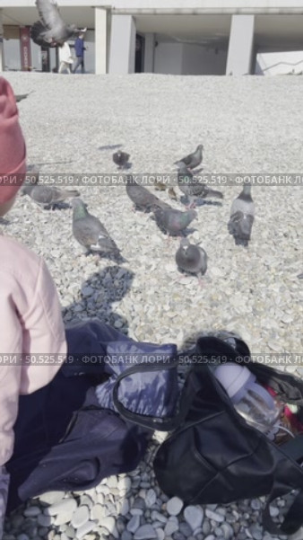 Маленькая девочка кормит голубей. Стоковое видео, видеограф Savanna Anderson / Фотобанк Лори
