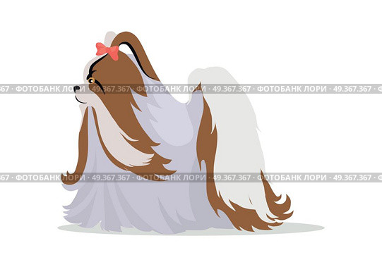 Maltese or yorkshire terrier breed dog with long hair and bow tie on head. Flat design vector. Domestic friend and companion animal illustration. For pet shop ad, hobby concept, breeding illustration. Maltese Breed Vector Flat Design Illustration. Maltese Breed Vector Flat Design Illustration. Стоковая иллюстрация, агентство Ingram Publishing / Фотобанк Лори