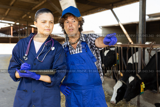 Man and Asian woman farmer with tablet talking at cowshed. Стоковое фото, фотограф Яков Филимонов / Фотобанк Лори