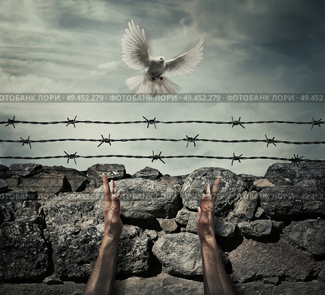 Man arms on a stone wall fence background with barbed wire on top as a convict in a prison rise hands to the sky on a flying pigeon. Need forgiveness, liberation and pacification concept. Стоковое фото, агентство Ingram Publishing / Фотобанк Лори