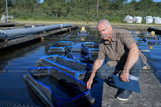man posing in the fish farm. Стоковое фото, агентство Ingram Publishing / Фотобанк Лори
