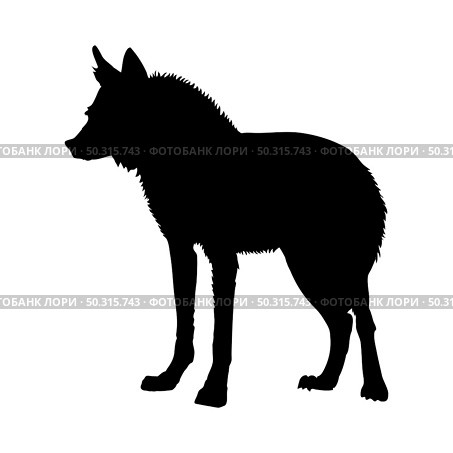 Maned Wolf silhouette. Smooth and clean lines. High detailed Maned Wolf silhouette. Vector Illustration.. wolves and martens silhouettes set. Стоковая иллюстрация, агентство Ingram Publishing / Фотобанк Лори