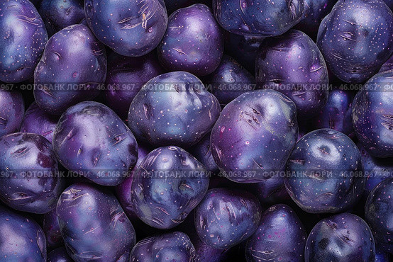 Many whole raw fresh purple potatoes filling the frame. Стоковое AI-изображение, AI-художник Иван Рябоконь / Фотобанк Лори