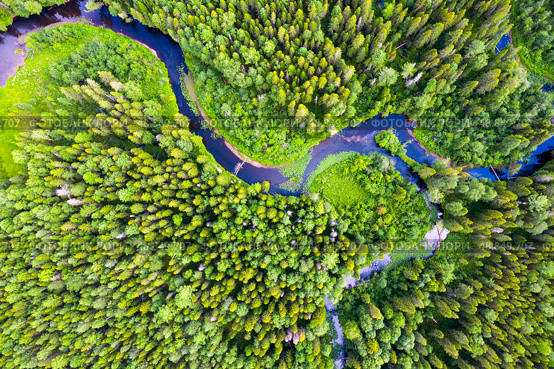 Meandering river among a green forest. Confluence of two rivers. Aerial view. Стоковое фото, фотограф Евгений Ткачёв / Фотобанк Лори