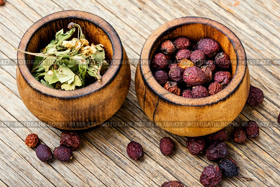 Medicinal plant hawthorn or haw in herbal medicine.Homeopathy.. Haw in herbal medicine. Стоковое фото, агентство Ingram Publishing / Фотобанк Лори