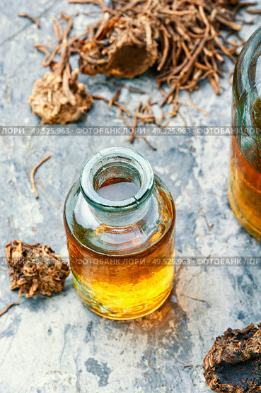 Medicinal tincture from the roots and rhizomes of valerian.Herbal medicine.Medicinal plant. Bottle of herbal tincture. Стоковое фото, агентство Ingram Publishing / Фотобанк Лори
