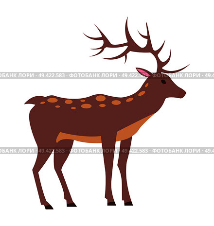 Medium-sized adult male deer with spotted fur, long antlers and short tail isolated vector illustration on white background, view from Left. Male Deer View from Left Isolated Illustration. Стоковая иллюстрация, агентство Ingram Publishing / Фотобанк Лори
