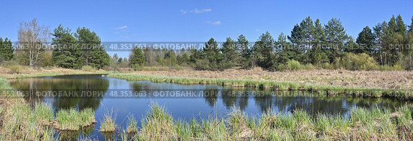 Мещерский национальный парк, панорама. Стоковое фото, фотограф Сергей Дрозд / Фотобанк Лори