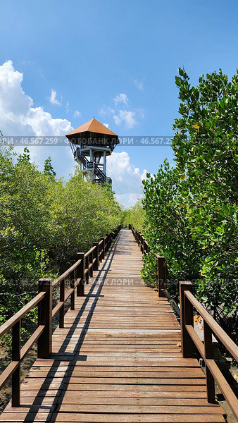 Международный экологический парк Сириндхорн (Sirindhorn International Environment Park). Ча-Ам, Пхетбури, Таиланд. Таиланд. Редакционное фото, фотограф lana1501 / Фотобанк Лори