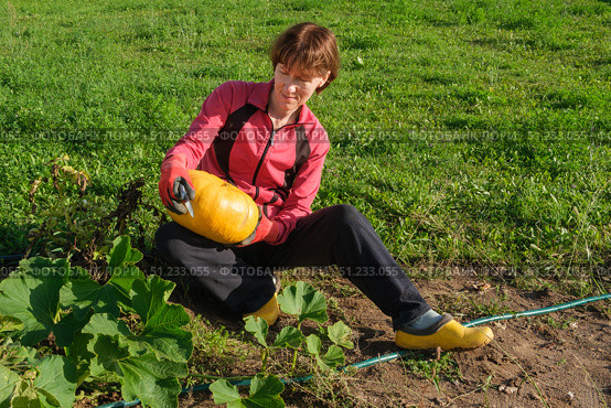 Middle-aged woman holding yellow pumpkin in her hands, looking at it and smiling. Gardening and horticulture concept. Стоковое фото, фотограф Мария Зубарева / Фотобанк Лори