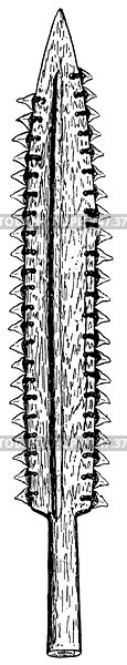 Military and ritual weapons. Sword-knife with shark teeth, Gilbert Islands. Micronesian technology. Publication of the "Meyers encyclopedia", Vol. 7, Leipzig, Germany, 1910. Стоковое фото, фотограф Sergey Kohl / Фотобанк Лори