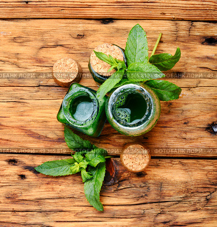 Mint essence oil in a small bottle and fresh leaves.Healing plants. Aroma oil with peppermint. Aroma oil with peppermint. Стоковое фото, агентство Ingram Publishing / Фотобанк Лори