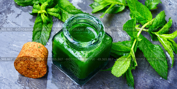 Mint essential oil in a glass bottle.Healing plants.Healing herbs. Aroma oil with peppermint. Aroma oil with peppermint. Стоковое фото, агентство Ingram Publishing / Фотобанк Лори