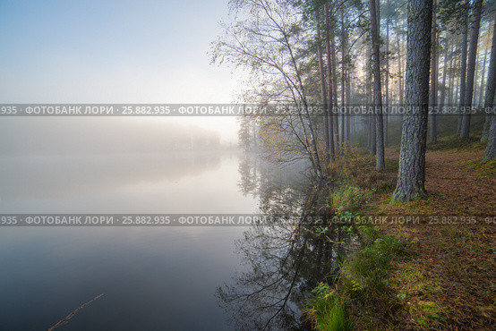 Misty forest lake. Стоковое фото, фотограф Виталий Веревкин / Фотобанк Лори