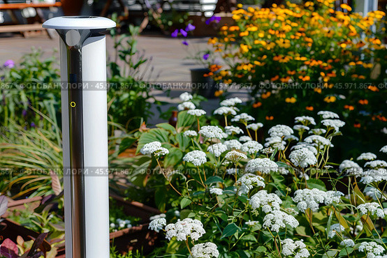 Modern garden with smart outdoor lighting and blooming flowers. Стоковое AI-изображение, AI-художник Zakharova Natasha / Фотобанк Лори