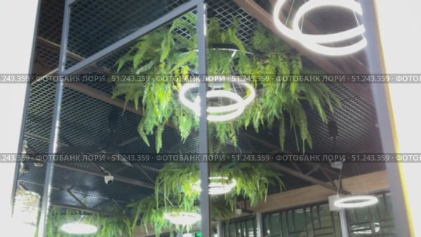 Modern Lighting and Greenery Decor Enhancing Contemporary Space for Stylish Living Areas. A stylish blend of vibrant neon lighting combined with lush greenery creates a perfect modern interior design. Стоковое видео, видеограф worker / Фотобанк Лори