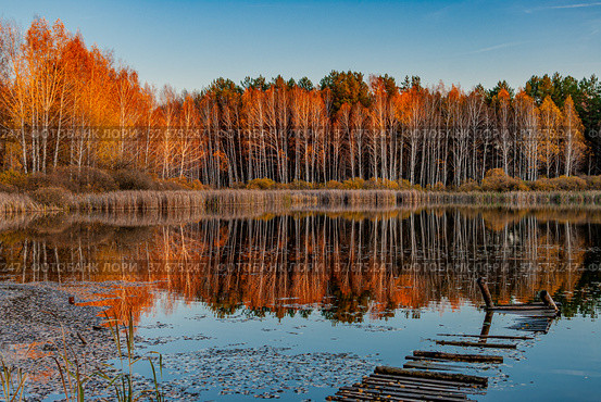 Моховое озеро в Самарской Луке (2021 год). Редакционное фото, фотограф Viktor Volkodaev / Фотобанк Лори