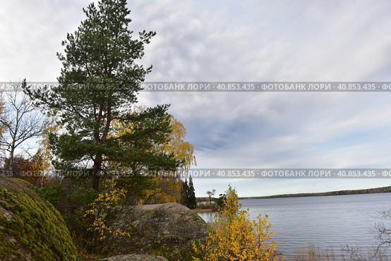 Mon repos is rocky landscape Park on the shore of the Bay of Protective Vyborg Bay, Northern part of city Vyborg in Leningrad region (2017 год). Стоковое фото, фотограф Анна Кривицкая / Фотобанк Лори