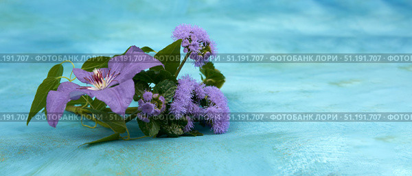 Monochrome minimalist floral composition of purple clematis and ageratum inflorescences on a blue background with free space for text. Стоковое фото, фотограф Роман Дзюбало / Фотобанк Лори