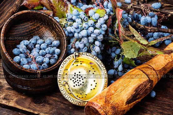 Mortar with healing berries in herbal medicine.Health diet.Herbalism.Herbalist. Berries in herbal medicine. Стоковое фото, агентство Ingram Publishing / Фотобанк Лори