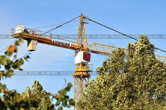Moscow, Russia - Oct 11.2023. Fragment of Liebherr crane behind the trees. Редакционное фото, фотограф Володина Ольга / Фотобанк Лори