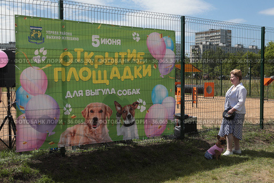 Москва, открытие новой площадки для выгула собак в Жулебино (2021 год). Редакционное фото, фотограф Дмитрий Неумоин / Фотобанк Лори