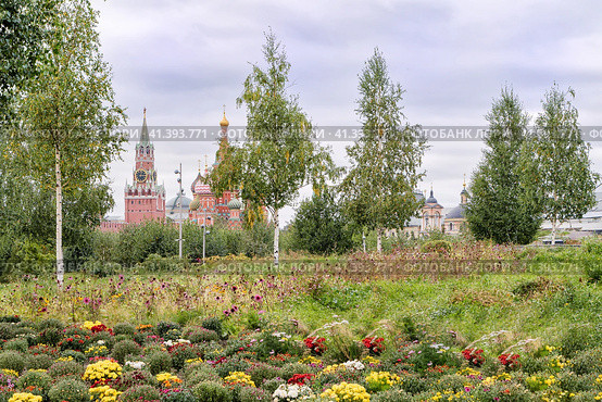Москва, Россия. Вид  из парка Зарядье на Кремль, Спасскую башню, храм Василия Блаженного через берёзовую рощу и цветочные насаждения. (2023 год). Редакционное фото, фотограф Сергей Никифоров-Гордеев / Фотобанк Лори