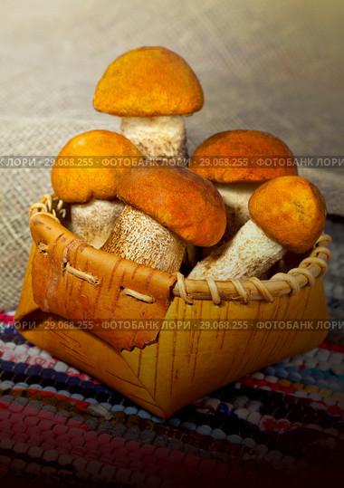 Mushrooms in a basket. Стоковое фото, фотограф ElenArt / Фотобанк Лори