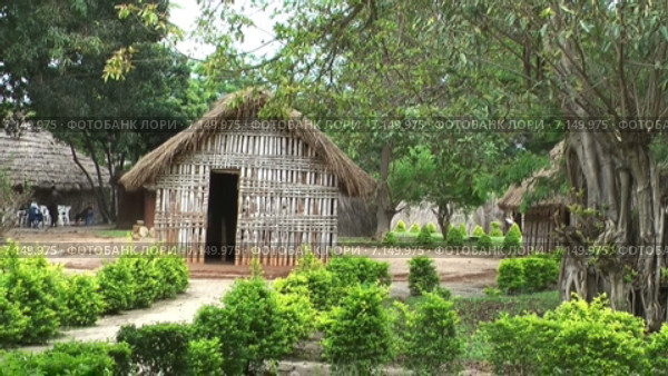 Музей деревни (Kijiji cha Makumbusho, Village Museum) с различными типами деревенских домов этнических групп Танзании. Национальный музей в городе Dar es Salaam, Африка (2014 год). Стоковое видео, видеограф Кекяляйнен Андрей / Фотобанк Лори