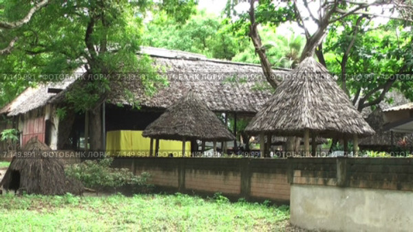 Музей деревни (Kijiji cha Makumbusho, Village Museum) с различными типами деревенских домов этнических групп Танзании. Национальный музей в городе Dar es Salaam, Африка (2014 год). Стоковое видео, видеограф Кекяляйнен Андрей / Фотобанк Лори