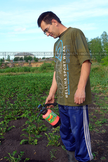 Мужчина обрабатывает картофель ядохимикатами (2010 год). Редакционное фото, фотограф Александр Тараканов / Фотобанк Лори