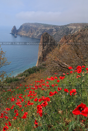 Мыс Фиолент. Крым (2010 год). Стоковое фото, фотограф Роман Рожков / Фотобанк Лори