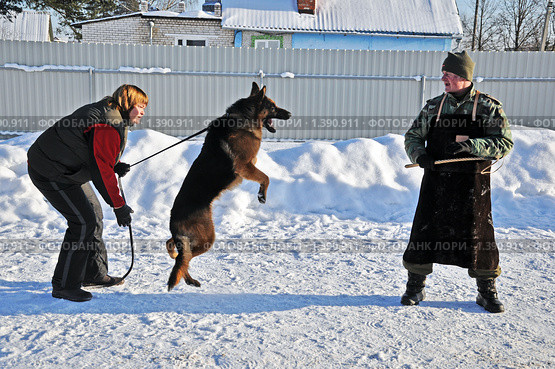 На дрессировочной площадке (2010 год). Редакционное фото, фотограф Андрей Стогов / Фотобанк Лори